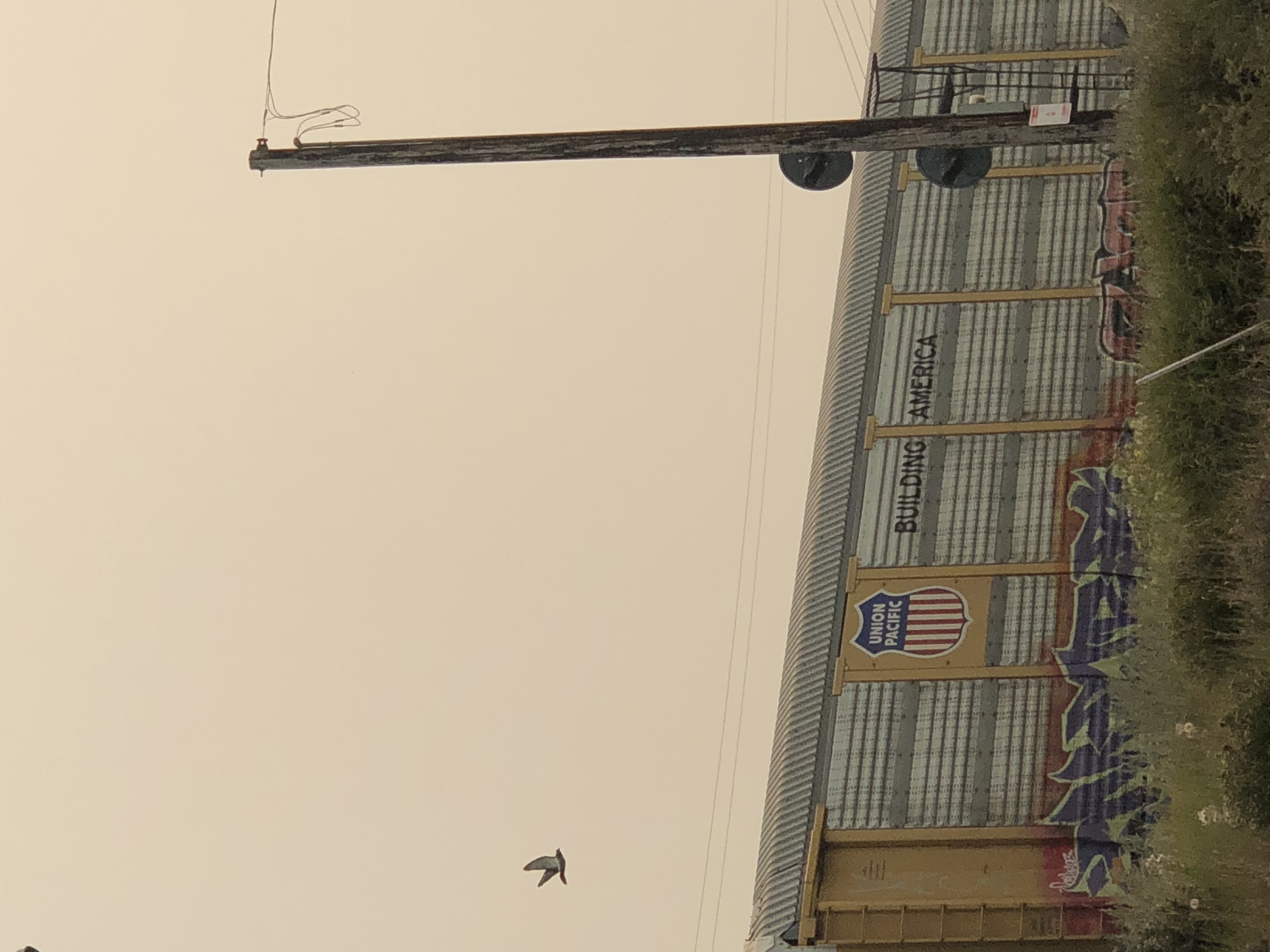 A train in the in front of a orange-gray smokey sky. The train reads “Building America”, which is ironic